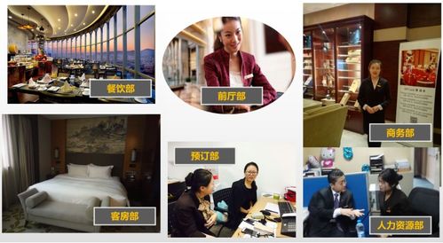 酒店管理專業(yè)中的餐飲管理 藝術(shù)與科學(xué)的融合